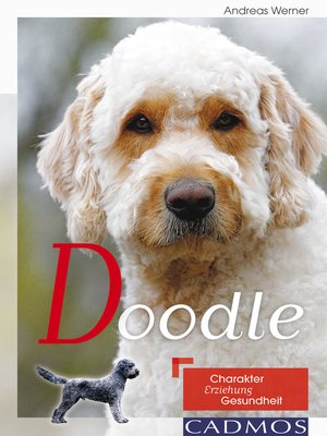 cover image of Doodle